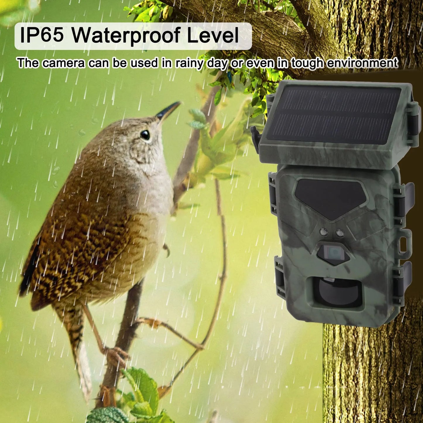 Trail Camera IR Night Vision Waterproof HD Solar Powered Camera for Outdoor Wildlife Monitoring