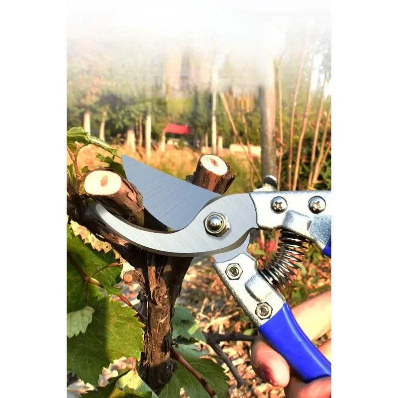 Pruning Scissors, Stainless Steel Fruit Tree Branch Cutting
