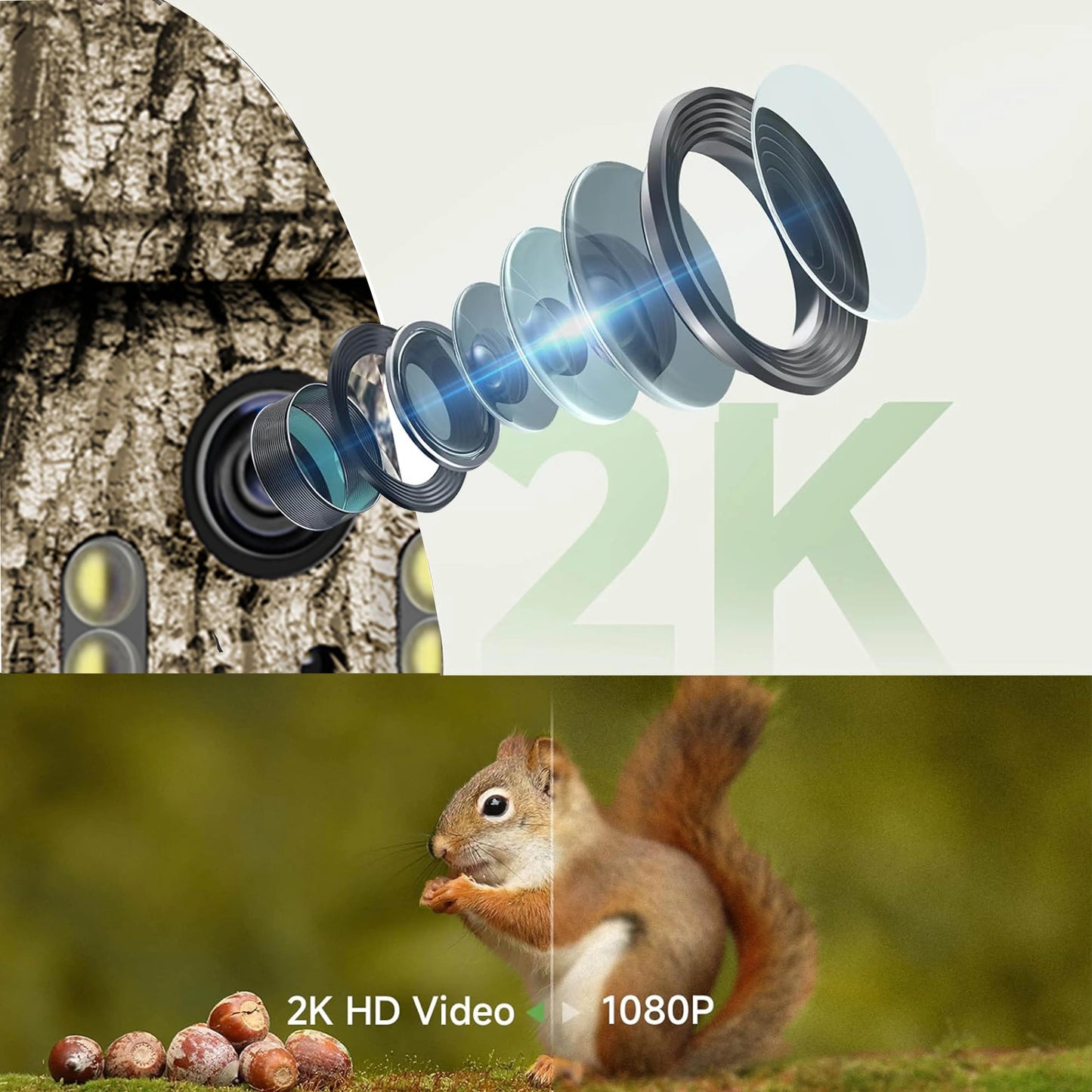 4G  Solar Trail Camera with 360° Live-View: 2K HD, Cellular Data Enabled for Continuous Security & Wildlife Monitoring