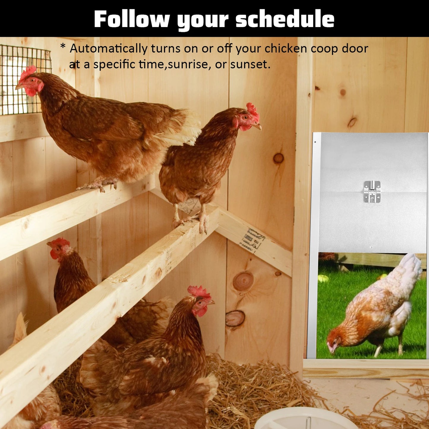 Automatic Door 66W Multipurpose Chicken Door White Door Opener for Farmers Wear-resistant Chicken Door