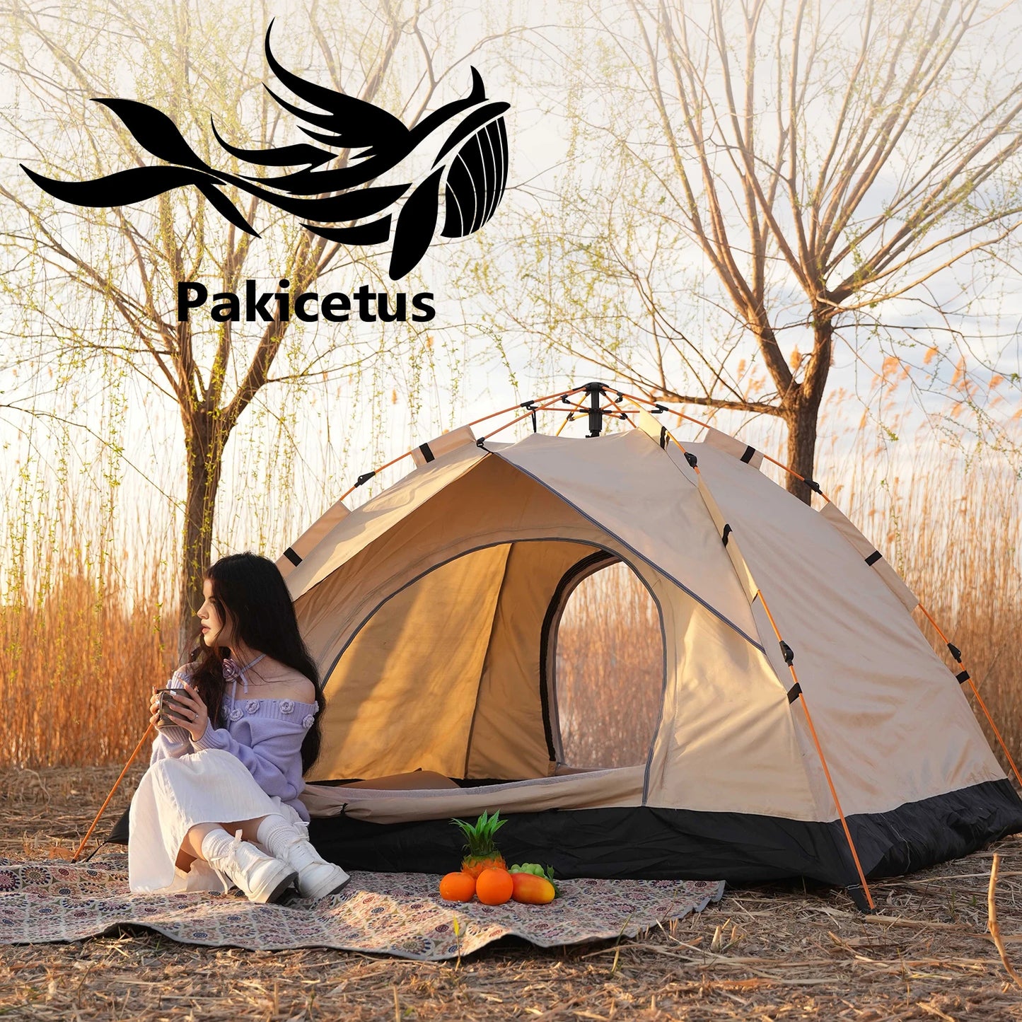2-4 Person Camping Windproof Tents, Easy To Set Up, lightweight Camping Tent, Suitable For Family Travel, Outdoor Camping
