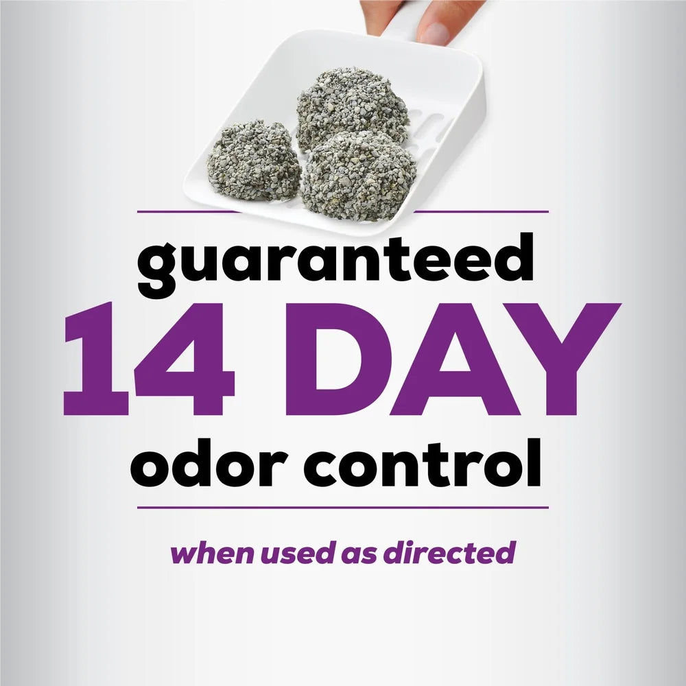 Clumping Cat Litter Low Dust 14 Day Odor Control Easy Scoop 20 lb Jug Ideal Multiple Cats
